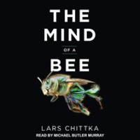 The_Mind_of_a_Bee